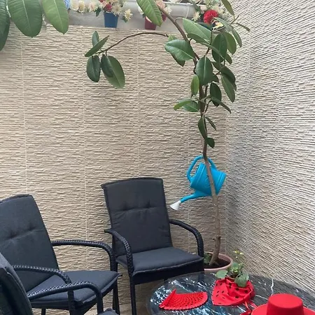 Apartment Cozy Nook *